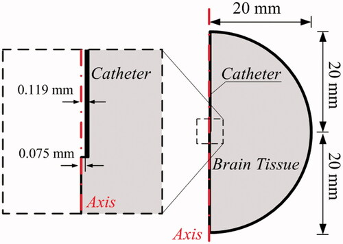 Figure 1. Model geometry for simulation.