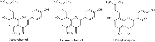 Figure 1. Chemical structures of xanthohumol (XN), isoxanthohumol (IX) and 8-prenylnaringenin (8-PN).