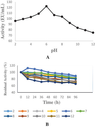 Figure 2. Optimum and pH stability studies were carried out by using 100 mM sodium acetate (pH 2.0–6.0), Tris–HCI (pH 7.0–9.0) and sodium carbonate (pH 10.0–12.0) buffer solutions. a-) Optimum pH profile for the purified phytase b-) pH Stability study for the purified phytase.