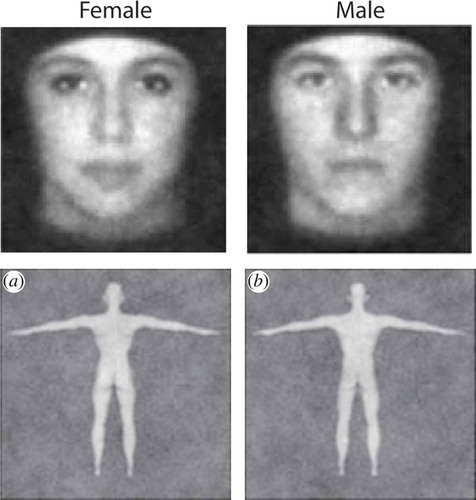 Figure 5. CIs of male (left column) and female (right column) faces and bodies (top row from Mangini & Biederman, Citation2004; bottom row from Johnson et al., Citation2012).