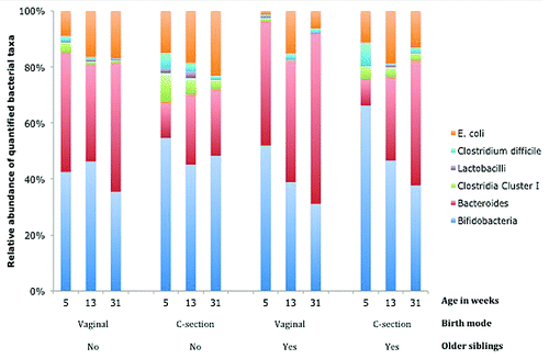 Figure 1. Relative proportion of bacterial taxa in the fecal microbiota at the ages of 5, 13, and 31 wk postpartum in vaginally delivered and C(esarean)-section delivered infants with or without older siblings.Citation28
