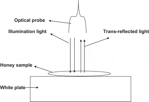 Figure 1  A schematic illustration of the measurement set up in trans-reflection mode.