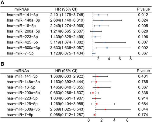 Figure 1 Building the prognostic miRNA-based signature. (A) A univariate Cox analysis revealed that five miRNAs were related to overall survival. (B) A multivariate Cox regression model was constructed for all eight miRNAs with clinical differences.