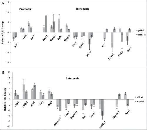Figure 7. Expression analysis of the GRPAM genes upon silencing of p68 and its comparison with expression levels observed upon down regulation of mrhl RNA (data taken from microarray data GSE 19355). (A) Expression analysis of promoter and intragenic class of GRPAM genes (B) Expression analysis of intergenic class of GRPAM genes. Each data point in 7A and 7B is an average of 4 independent biological replicates and the error bar represents standard deviation.