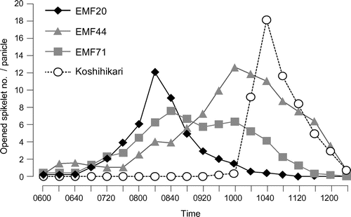 Figure 1. Flowering pattern of Kosihikari and alien introgression lines of O. officinalis. Opened spikelet number per panicle was counted every 20 min. Closed rhomboids, gray squares, gray triangles, and open circles indicate opened spikelet number per panicle of EMF20, EMF44, EMF71, and Koshihikari, respectively.