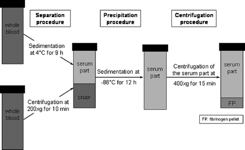 Figure 3. Schema for the second test series.