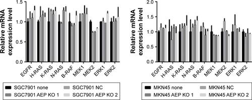 Figure S1 Expression of genes in EGFR/mitogen-activated protein kinase signaling pathway at mRNA level. There was no change in these genes when AEP was knocked out.Abbreviations: AEP, asparaginyl endopeptidase; NC, negative control; KO, AEP knockout.