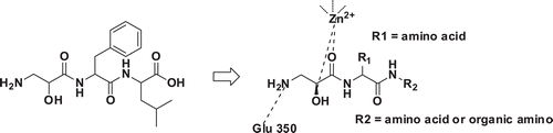 Figure 2.  The strategy for the design of L-isoserine tripeptide derivatives as APN inhibitors.