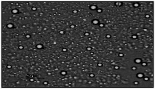 Figure 2. Transmission electron micrograph of niosomal formulation at 30000X.