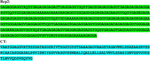 Figure 3. Amino acid sequence of spidroin R2C. The spidroin R2C consists of a Rep2 domain and a CT domain. The DNA sequences of the Rep2 and CT domains were from A. ventricosus MiSp (GeneBank accession number AFV31615.1) and were translated into amino acid sequences via DNAMAN software. The amino acid sequences of Rep2 and CT domains were marked with green and blue shading, respectively.