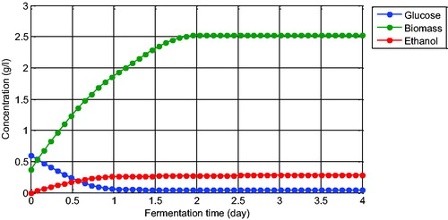 Figure 2. Extrapolated ethanol fermentation data with 50 data points.