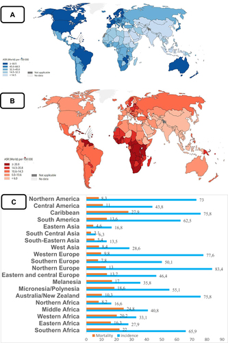 Figure 1 Global PCa prevalence for the year 2020. (A) Age-standardized rate (ASR) (per 100,000 men) for PCa incidence. (B) ASR for mortality. (C) Incidence and mortality rates based on geographical location. HICs have high incidence rates (IR) but lower mortality rates (MR), compared to LMICs with relatively lower IR but high MR. Reproduced from World Health Organization. Global cancer observatory: cancer Today; 2014. Available from: https://gco.iarc.fr.Citation4