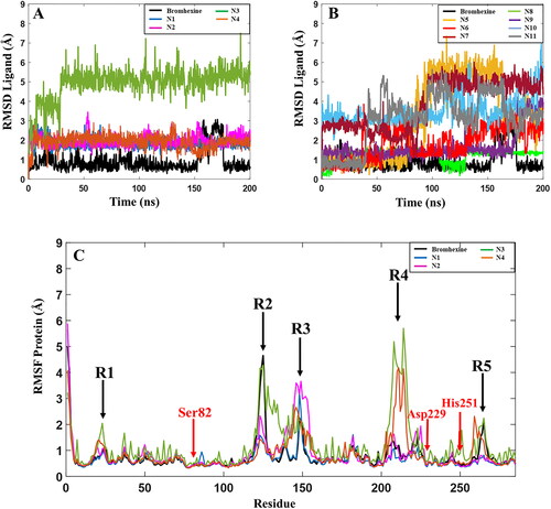 Figure 5. Root-mean-square deviation (RMSD) values for the 11 hits and the reference compound during one of the 200 ns MD simulations. (A) RMSD values for the 4 best hit compounds N1-N4, (B) RMSD values for the 7 hit compounds N5-N11, (C) Root mean square fluctuations (RMSF) of the lipase protein during the 200 ns MD simulations in complex with Bromhexine or ligands N1-N4. Red arrows correspond to the location of catalytic residues. Black arrows indicate which parts of the protein that undergoes more movements during the simulation (see text for details).