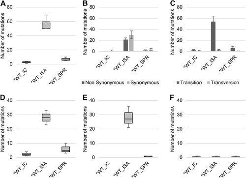 Fig. 5 Impact of SuPReMe on genetic diversity of viral populations.To investigate the impact of the reverse genetics method on the genetic heterogeneity of the viral populations, the complete genome sequence of each virus was established in triplicate. a represents the number of mutations detected. Mutation characteristics are represented in b (nonsynonymous/synonymous mutations) and c (transition/transversion). d–f represent the number of low-, mid- and high-frequency mutations, respectively. In a, d–f, the bottom and top of the box are the first and third quartiles, the band inside the box represents the median value and error bars represent the minimum and maximum values. In b, c, the average number of mutations is shown, and error bars represent the standard deviation