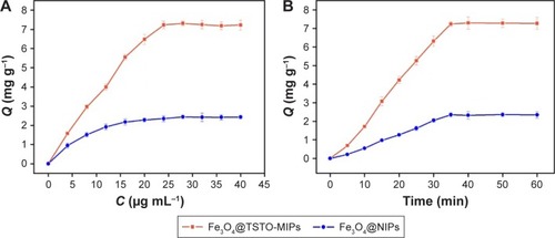 Figure 5 Adsorption isotherms (A) and kinetics (B) of Fe3O4@TSTO-MIPs and Fe3O4@NIPs toward TSTO.Abbreviations: MIPs, molecularly imprinted polymers; NIPs, nonimprinted polymers; TSTO, testosterone.