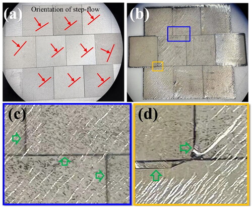 Figure 9. The OM image of inch-size mosaic SCD. (a) and (b) are the samples before growth, and after 24h growth, respectively. The red lines and arrows marked the orientation of the step-flow. (c) and (d) are enlarged images of the areas in blue and yellow boxes shown in (b), respectively. The green arrows marked the boundary morphology.