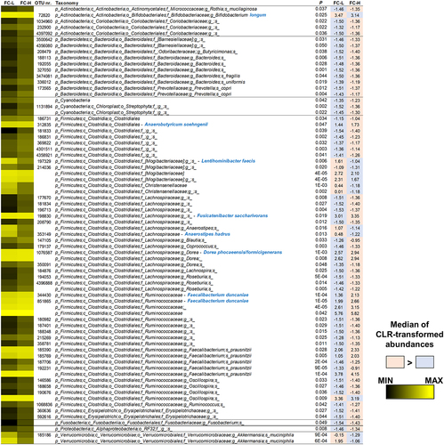 Figure 7. Bacterial taxa in fecal samples of NC-IBS patients exhibiting a significantly different abundance between catabotypes FC-H and FC-L. Significantly different taxa have been determined through the Mann-Whitney test carried out with CLR-transformed bacterial abundances. The black-yellow heatmap represents the mean CLR-transformed abundances of the reported taxonomic units. Higher and lower abundances for each taxon are reported with a red and cyan background, respectively. The taxonomic lineage of each taxon is shown: p, phylum; c, class; o, order; f, family; g, genus; s, species. Taxonomic names written in blue were determined through a manual BLASTN search in GenBank using the sequence of the corresponding reads.