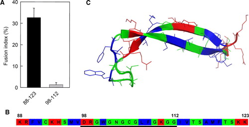 Figure 1.  Fusion activity (A) and amino acid sequence (B) of two peptides fragments of dengue E glycoprotein corresponding to the putative fusion peptide alone (amino acids between 98 and 112, underlined in B) or with part of two flanking β-strands, named DEN Fpep (amino acids between 88 and 123). DEN Fpep arrangement as it appears in the structure of E glycoprotein (C) solved by Modis et al. Citation[5]. Hydrophobic (blue), non-charged polar (green) and charged polar (red) residues are represented. This figure is reproduced in colour in Molecular Membrane Biology online.