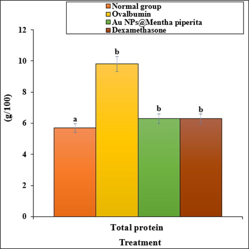 Figure 7. The effect of Au NPs@Mentha piperita on total protein parameter in ovalbumin-induced asthmatic rats.