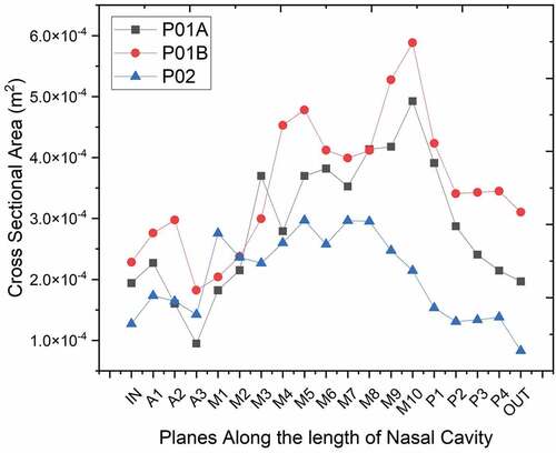 Figure 6. Cross-sectional area at different planes along the nasal cavity.