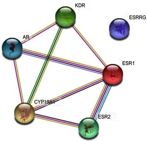 Figure 6 Interaction network of all hit genes.