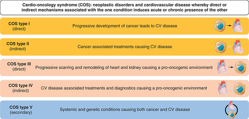 Figure 1. A 5-tier classification system for cardio-oncology syndromes.Taken from [Citation1], CC-BY license http://creativecommons.org/licenses/by/4.0/.CV: Cardiovascular.