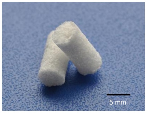 Figure 3 Photo of mesoporous bioactive glass and polyamide composite scaffolds.