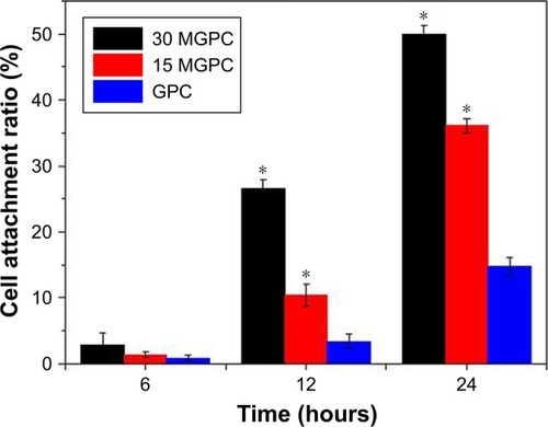 Figure 4 Attachment ratio of MC3T3-E1 cells on 30 MGPC, 15 MGPC, and GPC scaffolds at 6, 12, and 24 hours, *P<0.05.Abbreviation: MGPC, mMCS/GA/PCL composite.