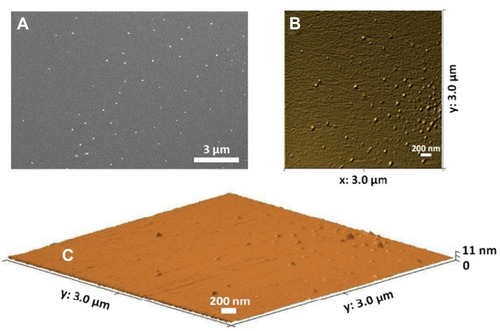 Figure 2 Morphology analysis of prepared DPs by microfluidic platform at the N/P ratio of 10, (A) Representative field emission scanning electron microscopy (FESEM), scale bar 3 µm, (B) Surface topography of DPs, 2D AFM imaging, (C) 3D AFM imaging, scan size 3×3μm.