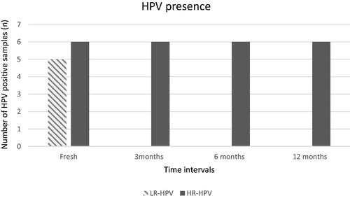 Figure 1. HPV presence in fresh and 3, 6, and 12 months post-freezing samples. It is shown the prevalence of HPV (both LR and HR) in fresh and 3, 6, and 12 months post-freezing samples. LR-HPV was undetectable during cryopreservation in all time intervals of all LR-HPV samples, while HR-HPV infectivity remained during cryopreservation in all time intervals of all HR-HPV samples.