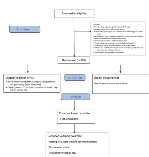 Figure 1 Flow diagram for effect of perioperative intravenous lidocaine on postoperative recovery in patients undergoing ileostomy closure.