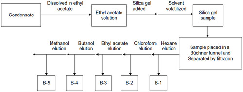 Figure 3 Flow chart diagram showing stages in the organic extraction and elution of fractions B-1, B-2, B-3, B-4, and B-5 from Vernonia amygdalina condensate using silica gel.