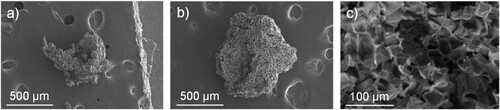 Figure 2. SEM images of (a) FC, (b) CC and (c) internal structure of FC.