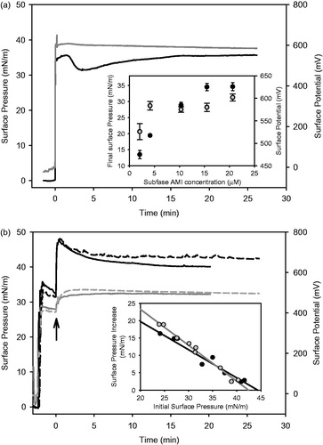 Figure 2. Surface pressure-time of Gibbs monolayers and penetration of AMI to phospholipid or phospholipid/Asc16 monolayers. (a) Gibbs monolayer of AMI formed by adsorption to a bare air/saline solution surface and (b) penetration of AMI to DMPC monolayer (full lines) or DMPC/Asc16 (80:20) (dashed lines) at ∼30–32 mN/m. The black and gray lines and symbols in (a) and (b) correspond to surface pressure and surface potential time curves, respectively, after injection of AMI in the subphase. Final AMI subphase concentration 15.5 μM. The inset in (a), shows the final surface pressure and potential dependence with the subphase AMI concentration. The inset in (b) shows cut-off curves of AMI penetration to DMPC (black dots and black line) or DMPC/Asc16 (80:20) (grey dots and grey line). The arrow in (b) indicates the time of AMI injection in the subphase. The curves shown are chosen from a set of duplicates that differ in less than 2 mN/m.