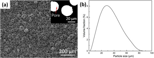 Figure 1. (a) SE images of AlSi10Mg powder (inset shows cross-sectioned powders), and (b) particle size distribution.