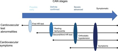 Figure 1 Stages of CAN.
