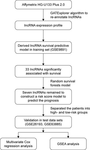 Figure 1 Study workflow showing the order of lncRNA analyses applied to develop a risk score model and use of the model to predict prognostic information and validate the efficiency of the signature panel.