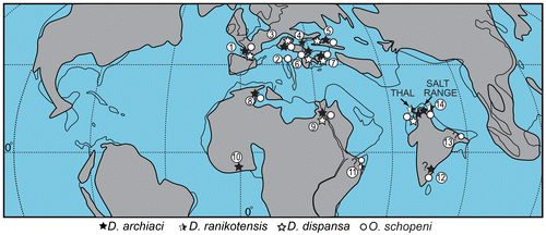 Figure 15. The palaeogeographic distribution of D. archiaci, D. ranikotensis, D. dispansa and O. schopeni in early Eocene (except the records of O. schopeni and D. ranikotensis in locality 11, and O. schopeni in locality 12 & 13, which are from late Paleocene). Paleocoastline map at 53 Ma are redrawn from Smith, Smith, & Funnell (Citation1994). (1) Aquitaine Basin (France): d’Archiac, Citation1850; Schlumberger, Citation1903; Douvillé, Citation1922; Schweighauser, Citation1953; Neumann, Citation1958; Less, Citation1987. (2) Spilecco (northern Italy): Schweighauser, Citation1953; Less, Citation1987 & Citation1998. (3) Gmunden (Austria): Dulai et al., Citation2010. (4) Dikilitash, Varna (Bulgaria): Less, Citation1998; Less et al., Citation2007. (5) central and eastern Crimea (Ukrania): Portnaya, Citation1974; Less, Citation1987; Zakrevskaya, Citation2005; Zakrevskaya et al., Citation2011. (6) Kocaeli peninsula, Thrace Basin and Şile (western Turkey): Özcan et al., Citation2010, Citation2012; Less et al., Citation2007. (7) Safranbolu- Safranbolu Basin, Sakarya-Haymana Basin and Karakaya-Sarıyaka (central Turkey): Çolakoğlu & Özcan, Citation2003; Özcan, Less, & Kertész, Citation2007; Gül et al., Citation2012; Özcan et al., Citation2013. (8) Kesra Plateau (Tunisia): unpublished data of K. Boukhalfa, E. Özcan & Ben. I. Lattrache. (9) Galala (Egypt): Özcan, Scheibner & Boukhalfa, Citation2014. (10) Fresco area (SW Ivory Coast): unpublished data of D. Z. Bruno, Ben I. Lattrache & E. Özcan. (11) N Oman: Racey, Citation1995; Haynes, Racey, & Whittaker, Citation2010 (question mark indicates that both O. cf. schopeni and D. cf. ranikotensis have been reported but not figured). (12) Cauvery Basin (SE India): Samanta, Citation1967; Govindan, Citation2013 (question mark indicates that D. archiaci has been reported but not figured). (13) South Shillong (NE India): Jauhri, Citation1998 (question mark indicates that O. schopeni has been reported but not figured). (14) Salt Range (Pakistan): unpublished data of M. Hanif, N. Ali, & E. Özcan.