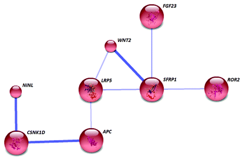 Figure 5. In NA, only 8 differentially methylated genes associated with each other and formed a single network. The gene SFRP1 represents a key node and the network is enriched with Wnt signaling pathway genes. Known and predicted protein-protein interactions were identified at a confidence score > 0.4. Only the networks with at least one node consisting of more than 3 neighbors are displayed.