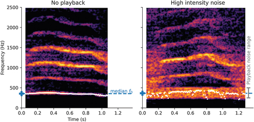 Figure 1. A plot of the fundamental frequency estimated through Parselmouth, overlaid on two seal call spectrograms, shows Praat’s ability to correctly track the fundamental frequency, even in the presence of noise. Automated generation of such plots was used to swiftly assess the tracking quality, as to ensure correctness of the results.