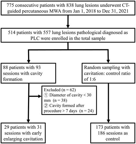 Figure 1. The flowchart of patient selection. Reference- CT: computerized tomography; MWA: Microwave ablation; PLC: primary lung cancer.