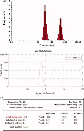 Figure 6. DLS analysis showed (A) particle size distribution (B,C) Zeta potential measurement of synthesized AgNPs.