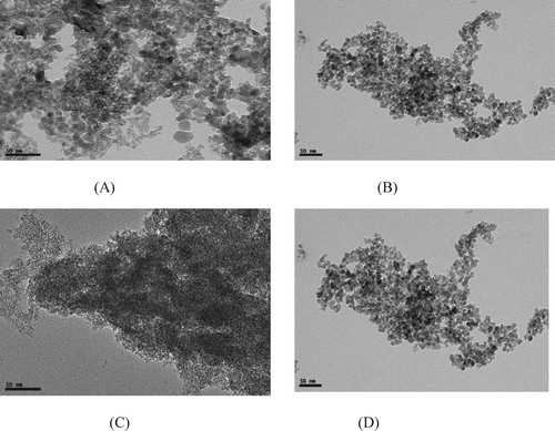 Figure 3. TEM images of iron oxide and doped iron oxide nanoparticles (A) Iron oxide, (B) Co doped iron oxide, (C) Ni doped iron oxide, (D) Zn doped iron oxide.