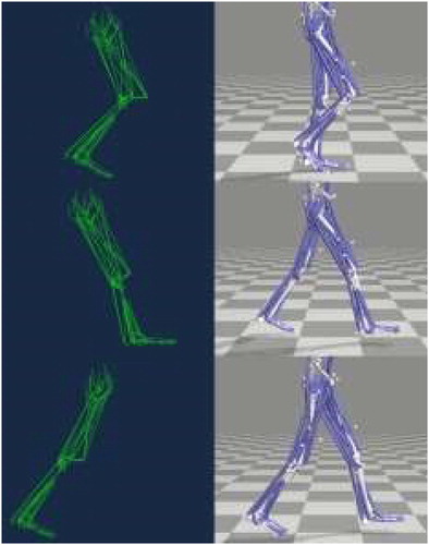 Figure 1. Model of walking gait (left - FEM, right - OPENSIM) for three particular moments of cycle.