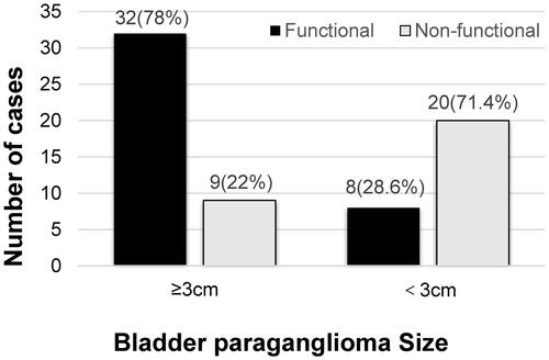Figure 3 The Bladder paraganglioma size. Proportion of functional and non-functional BPG larger than 3 cm or smaller than 3 cm in diameter.