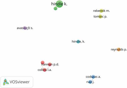 Figure 6. Network visualisation map of the co-authorship.