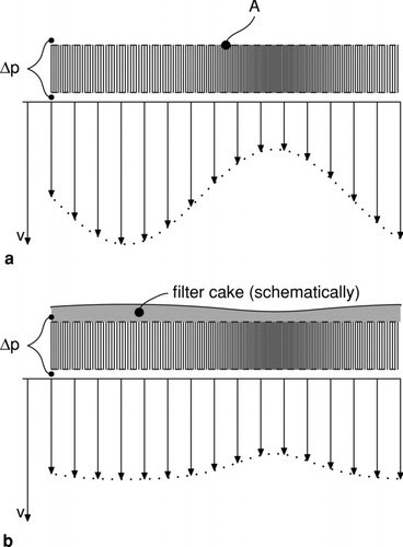 FIG. 1 Schema of a cross-section of a filter medium with inhomogeneous permeability and the corresponding flow field at a certain pressure drop level. (a) clean filter medium and (b) filter medium carrying a filter cake layer.