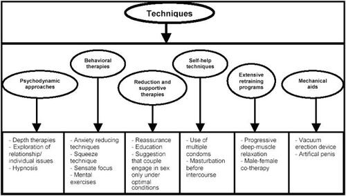 Figure 1 Non-pharmacological treatment options for PE.Adapted from CitationShenassa and Hellstrom (2001).