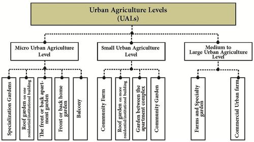 Figure 2. Urban agriculture classification.