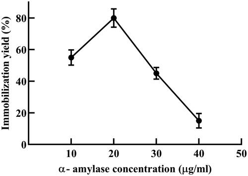 Figure 2. Effect of enzyme concentration on immobilization yield (%). Amylolytic activity was assayed under standard assay conditions.